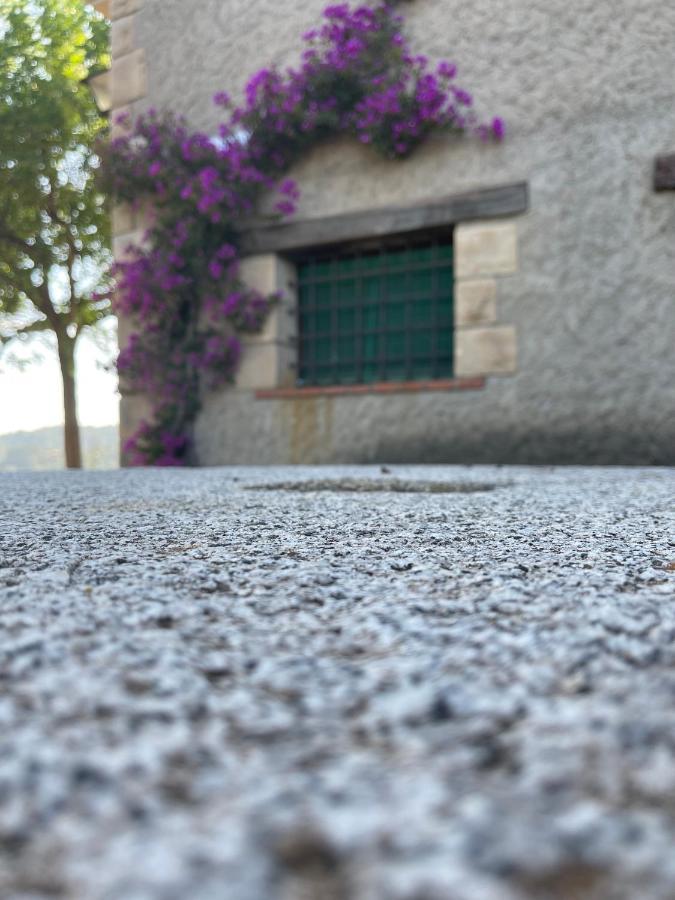 Villa Masia Catalana Solsenyor By El Secret De La Conca Tarragona