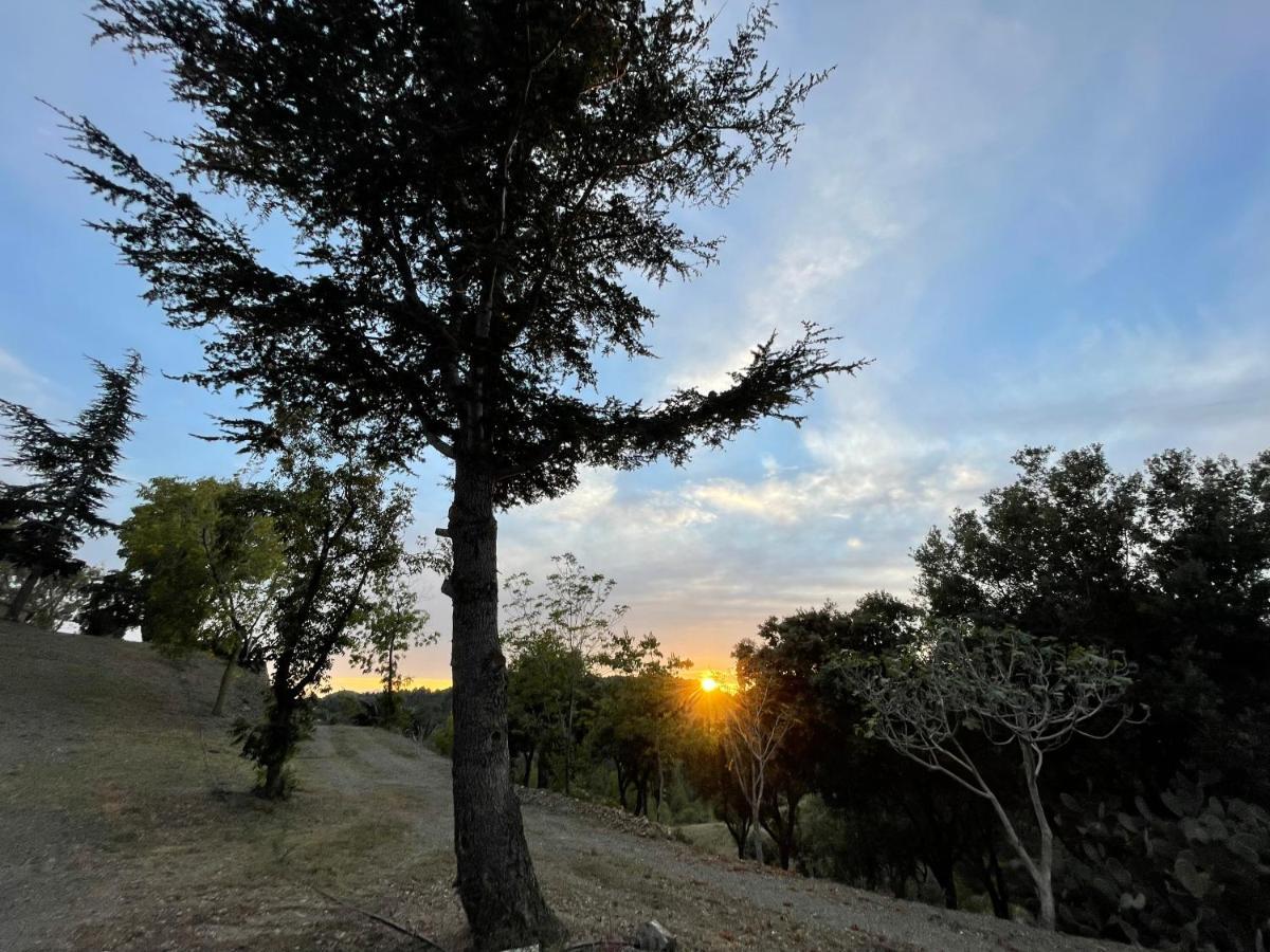 Masia Catalana Solsenyor By El Secret De La Conca * Tarragona
